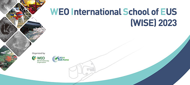 WEO International School of EUS (WISE) 2022