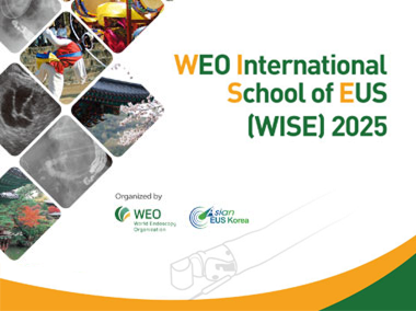 WEO International School of EUS (WISE) 2025